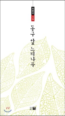 동구 앞 느티나무