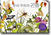 우리 주위의 곤충