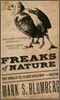 Freaks of Nature: What Anomalies Tell Us about Development and Evolution