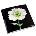 [CVD] Card - LACE POPPY (CVGA003)