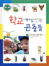 학교에서 살아가는 곤충들 1