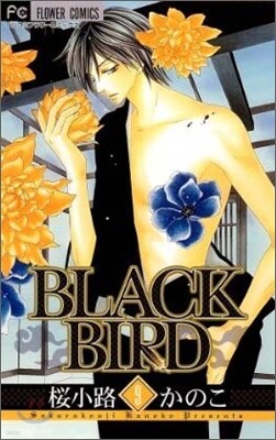 BLACK BIRD 9