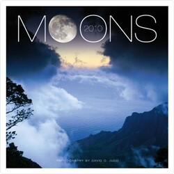 2010 벽걸이달력 (MOON 캘린더)