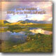 Joanie Madden - Songs Of Irish Whistle 2