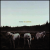 Foxing - Albatross (LP+Download Card)