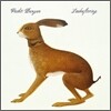 Vashti Bunyan - Lookaftering