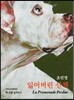 잃어버린 산책