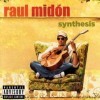 Raul Midon - Synthesis