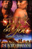 Stuck On You: Shane & Cheri's Story