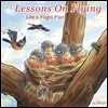 Lessons on Flying: life's flight plan