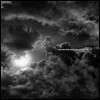 태양 - Taeyang Rise + Best Collection Vinyl [2LP]