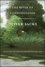 The River of Consciousness