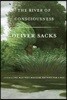 The River of Consciousness