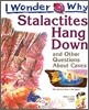 I Wonder Why : Stalactites Hang Down