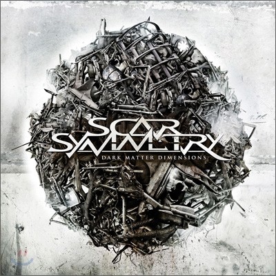 Scar Symmetry - Dark Matter Dimensions