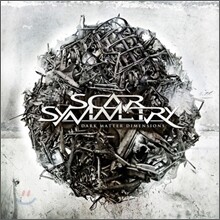 Scar Symmetry - Dark Matter Dimensions