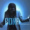 Richard Bona - The Ten Shades Of Blues