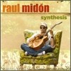 Raul Midon - Synthesis