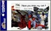 My Little Library Board Book : Have You Seen My Cat? (Board Book Set)