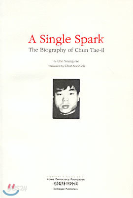 A Single Spark