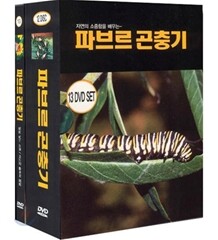 파브르곤충기 13종 박스세트