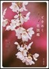 ときめく花圖鑑