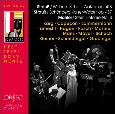 Renaud Capucon / Albrecht Mayer 말러: 교향곡 4번 [실내 앙상블 연주] / 슈트라우스: 왈츠 (Mahler: Symphony No.4 / Strauss: Schatz-Walzer, Kaiser-Walzer)