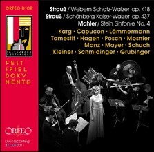 Renaud Capucon / Albrecht Mayer 말러: 교향곡 4번 [실내 앙상블 연주] / 슈트라우스: 왈츠 (Mahler: Symphony No.4 / Strauss: Schatz-Walzer, Kaiser-Walzer)