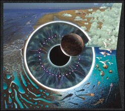 Pink Floyd (핑크 플로이드) - Pulse