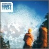 One Hidden Frame - Giant Steps