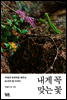 [대여] 내게 꼭 맞는 꽃