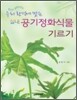 실내 공기정화식물 기르기