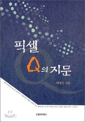 픽셀 Q의 지문