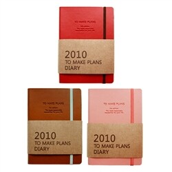 2010 MAKE PLANS DIARY