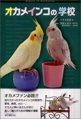 オカメインコの學校