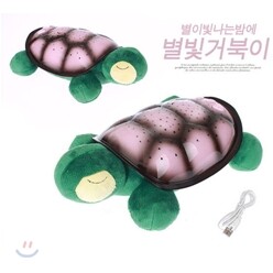 방에서 보는 별자리 거북이등