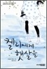 켈리에게 햇살을