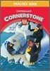 Longman Cornerstone 1.1 : Practice Book