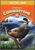 Longman Cornerstone B.1 : Practice Book