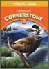 Longman Cornerstone B.2 : Practice Book