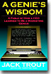 A Genie's Wisdom: A Fable of How a CEO Learned to Be a Marketing Genius