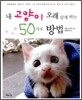 내 고양이 오래 살게 하는 50가지 방법