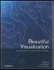 Beautiful Visualization