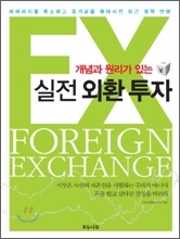 개념과 원리가 있는 실전 외환 투자