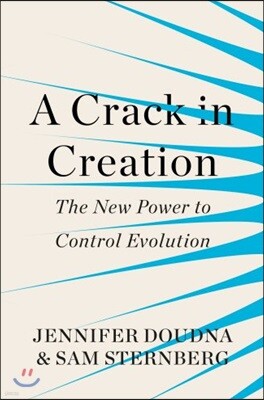 Crack in Creation