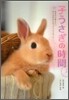 子うさぎの時間