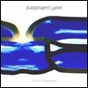 Basement Jaxx (베이스먼트 잭스) - Junto Remixed