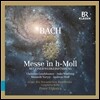 Christina Landshamer / Peter Dijkstra 바흐: 미사 B단조 (J.S. Bach: Mass in B minor BWV232) 크리스티나 란트샤머, 페터 딕스트라