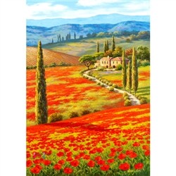 양귀비 들판 (PL1174/1000조각/단일상품/51x73.5cm)