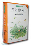 무슨 풀이야?